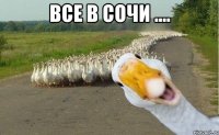 все в сочи .... 