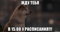 жду тебя в 15.00 у расписания!!!