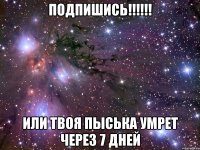 подпишись!!! или твоя пыська умрет через 7 дней