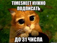 timesheet нужно подписать до 31 числа