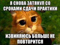 я снова затянул со сроками сдачи практики извиняюсь больше не повторится