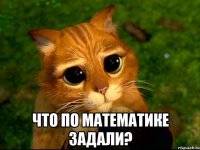  что по математике задали?