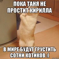 пока таня не простит кирилла в мире будут грустить сотни котиков :(