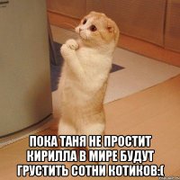  пока таня не простит кирилла в мире будут грустить сотни котиков:(