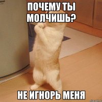 почему ты молчишь? не игнорь меня