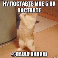 ну поставте мне 5 ну поставте ©паша кулиш