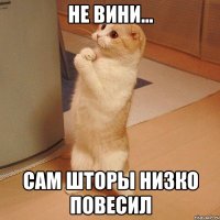 не вини... сам шторы низко повесил