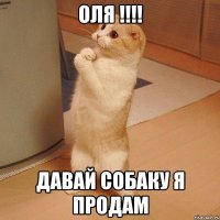 оля !!! давай собаку я продам