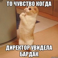 то чувство когда директор увидела бардак