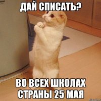 дай списать? во всех школах страны 25 мая