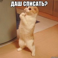 даш списать? 