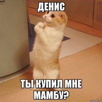 денис ты купил мне мамбу?