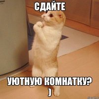 сдайте уютную комнатку? )