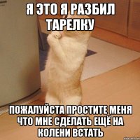 я это я разбил тарелку пожалуйста простите меня что мне сделать ещё на колени встать