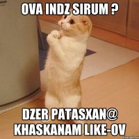 ova indz sirum ? dzer patasxan@ khaskanam like-ov