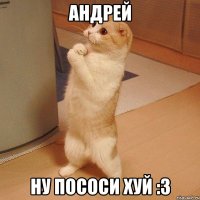 андрей ну пососи хуй :3