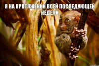 я на протяжении всей последующей недели 