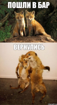 пошли в бар вернулись