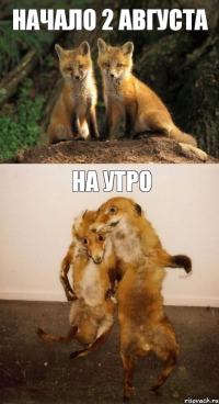 НАЧАЛО 2 АВГУСТА НА УТРО