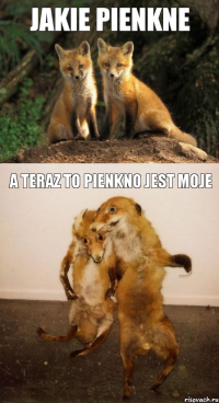 JAKIE pienkne a teraz to pienkno jest moje