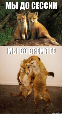 мы до сессии мы во время ее