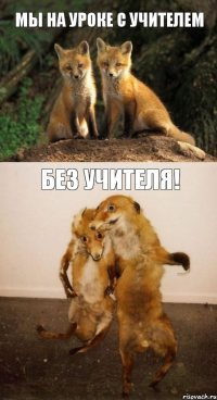 Мы на уроке с учителем Без учителя!