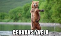  cekvavs yvela