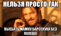 нельзя просто так выебать мамку барсекука без палева!