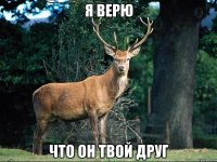 я верю что он твой друг