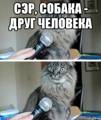 сэр, собака - друг человека 