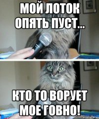 мой лоток опять пуст... кто то ворует мое говно!