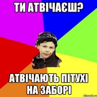 ти атвічаєш? атвічають пітухі на заборі