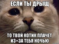 если ты дрыщ то твой котик плачет из=за тебя ночью