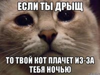 если ты дрыщ то твой кот плачет из-за тебя ночью