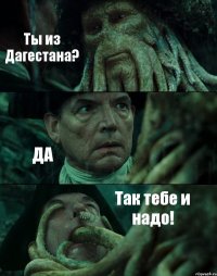 Ты из Дагестана? ДА Так тебе и надо!