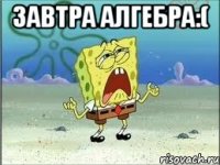 завтра алгебра:( 