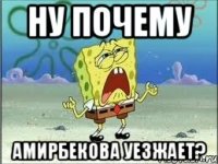 ну почему амирбекова уезжает?