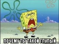  почему ты такой глупый