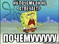 ну почему он не отвечает? почемуууууу