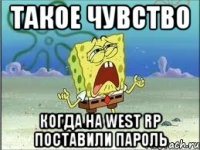 такое чувство когда на west rp поставили пароль