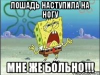 лошадь наступила на ногу мне же больно!!!