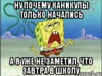 ну почему каникулы только начались а я уже не заметил, что завтра в школу