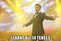  learnt all 14 tenses