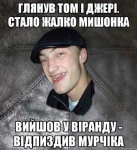 глянув том і джері. стало жалко мишонка вийшов у віранду - відпиздив мурчіка