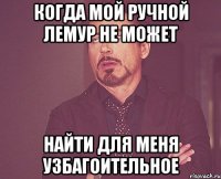 когда мой ручной лемур не может найти для меня узбагоительное