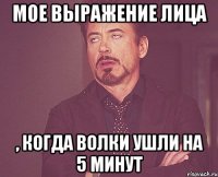 мое выражение лица , когда волки ушли на 5 минут