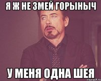 я ж не змей горыныч у меня одна шея