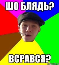 шо блядь? всрався?