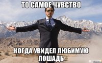 то самое чувство когда увидел любимую лошадь