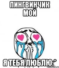 пингвинчик мой я тебя люблю:*